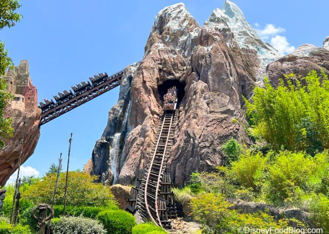 Exploring The Speed: How Fast Does Expedition Everest Go