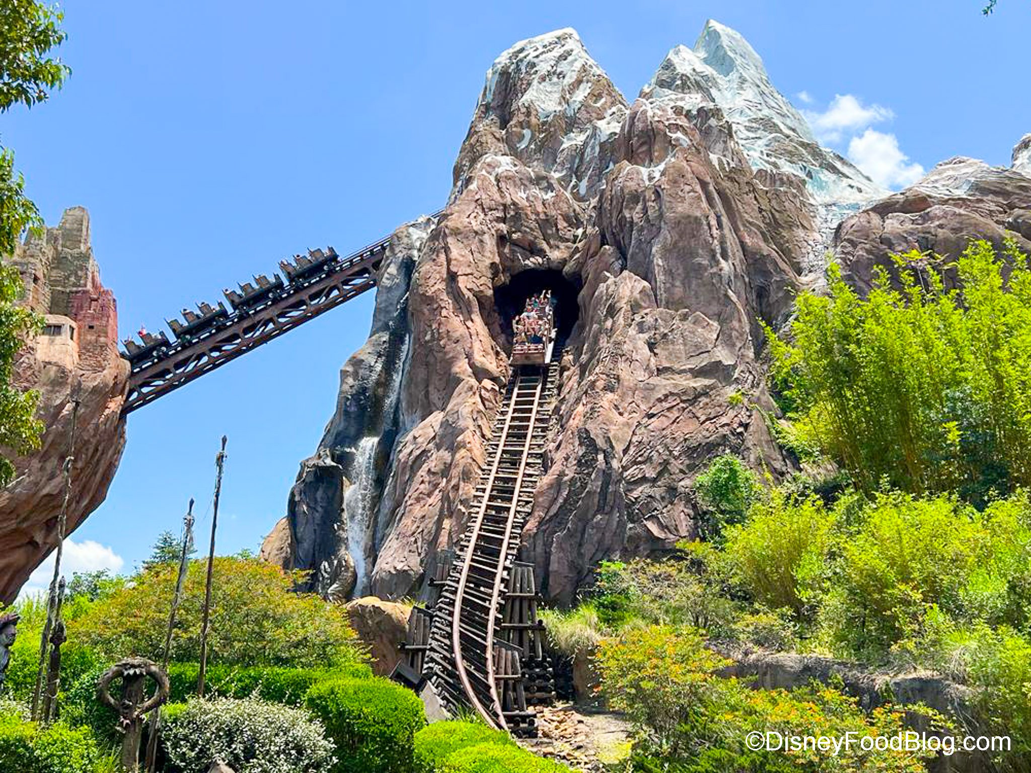 Exploring The Speed: How Fast Does Expedition Everest Go