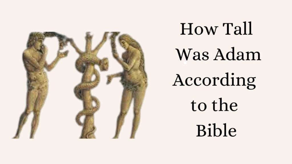 Unveiling The Height Of Adam From The Bible